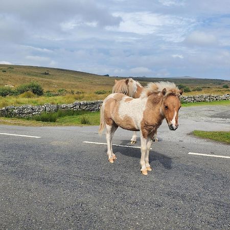 Dartmoor Reach Alpaca Farm Heated Cabins 5 Mins Drive To Dartmoor Боуви Трейси Екстериор снимка
