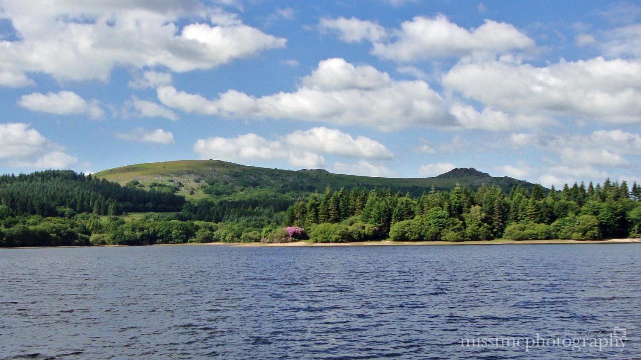 Dartmoor Reach Alpaca Farm Heated Cabins 5 Mins Drive To Dartmoor Боуви Трейси Екстериор снимка