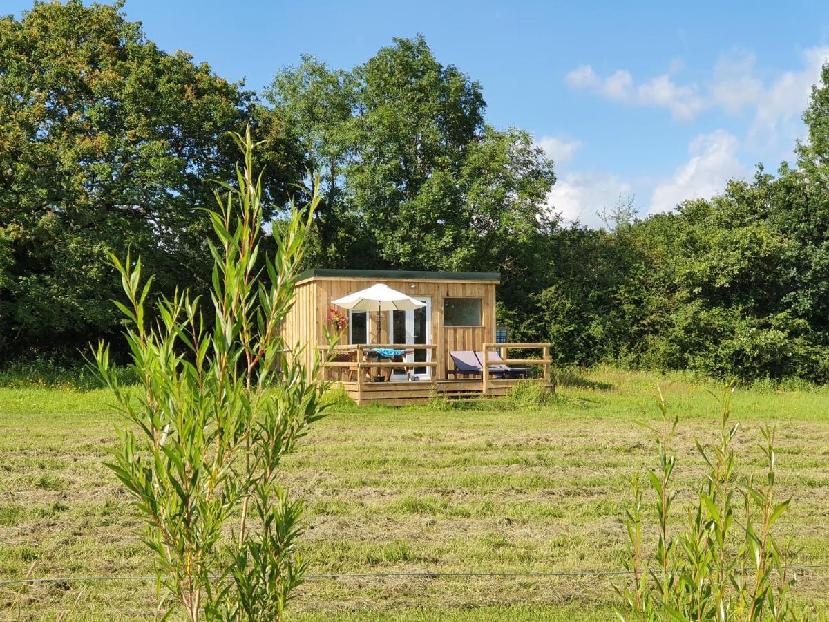 Dartmoor Reach Alpaca Farm Heated Cabins 5 Mins Drive To Dartmoor Боуви Трейси Екстериор снимка