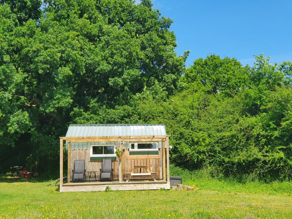 Dartmoor Reach Alpaca Farm Heated Cabins 5 Mins Drive To Dartmoor Боуви Трейси Екстериор снимка