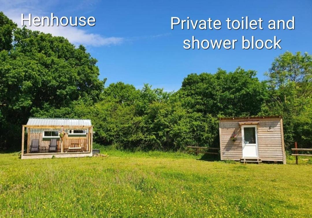 Dartmoor Reach Alpaca Farm Heated Cabins 5 Mins Drive To Dartmoor Боуви Трейси Стая снимка